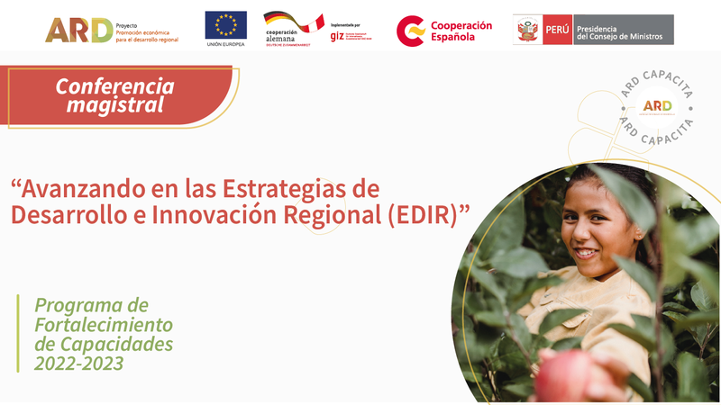 Avanzando en las Estrategias de Desarrollo e Innovación Regional (EDIR)